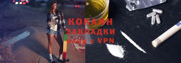 сатива Елизово