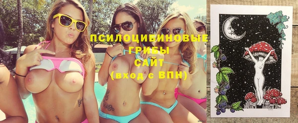 прущая мука Елабуга