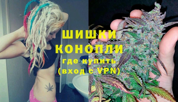 сатива Елизово