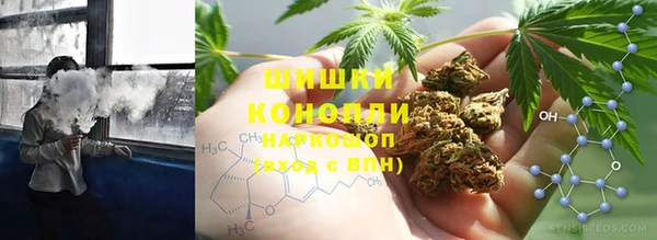 сатива Елизово