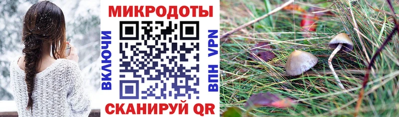 Купить  Котельниково  Псилоцибиновые грибы Psilocybe 
